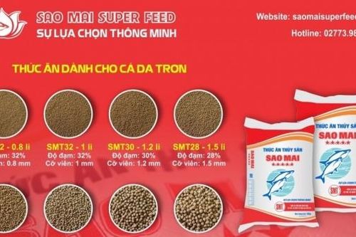 Dấu ấn đột phá của Sao Mai Super Feed