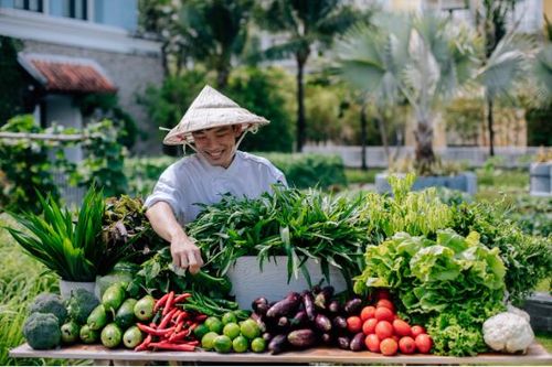 Bùng nổ nhu cầu 'kỳ nghỉ 5 sao' cùng thiên nhiên ngay trong thành phố