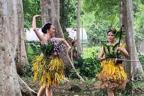 Có một hiệp sĩ ở Vườn quốc gia Cát Tiên