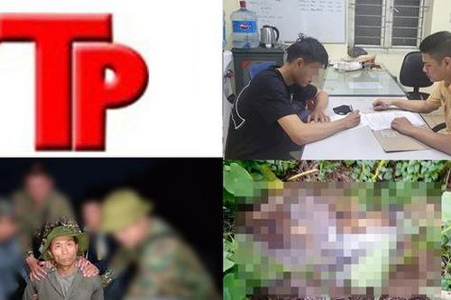 Bản tin Hình sự: Tình tiết mới trong vụ phát hiện thi thể phân hủy trong vườn trái cây