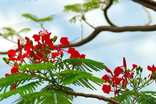 Chi hàng chục triệu cho lễ tri ân: Trọng chữ tình hay ưa hình thức?