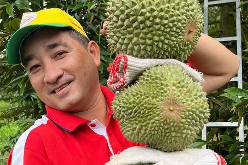 Không phải Musang King, đây mới là loại sầu riêng đắt nhất ở miền Tây