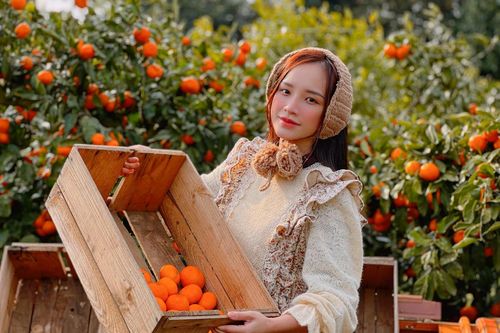 Khách Việt kể những điều thú vị ở vùng đất 'không cần khóa cửa' tại Hàn Quốc