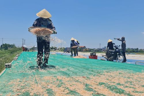 Dựng lều giữa trưa nắng phơi moi, ngả lưng trên chiếc xe bỏng rát