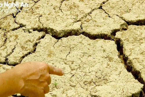 Nắng nóng kéo dài, Nghệ An sông khô, hồ cạn