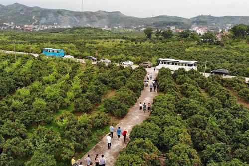 Mở đường cho bất động sản du lịch nông nghiệp
