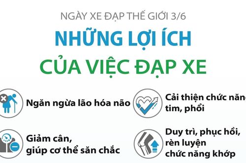 Ngày Xe đạp Thế giới 3/6: Những lợi ích của việc đạp xe
