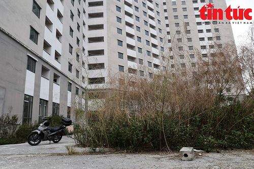 Hai tòa chung cư bỏ hoang tại nội thành Hà Nội nhiều năm