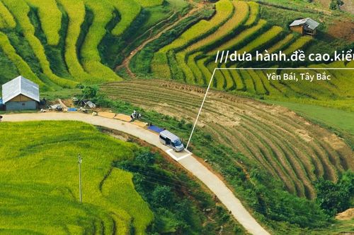 Vietnam Post chính thức sử dụng công nghệ định vị what3words