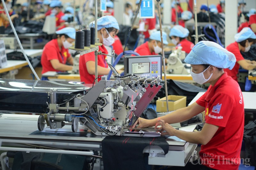 Tăng trưởng kinh tế có dấu hiệu phục hồi, nhưng doanh nghiệp chưa hết khó