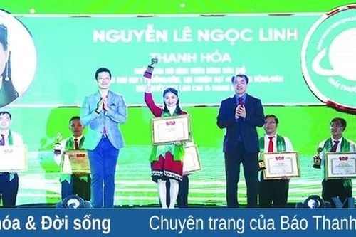 Làm giàu trên quê hương