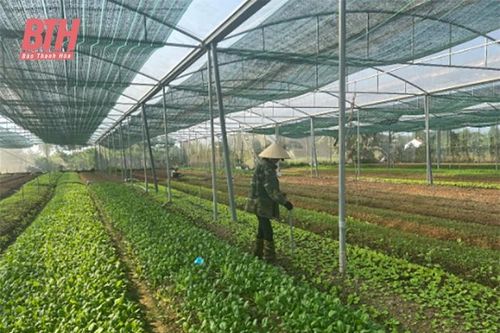 Xây dựng chuỗi cung ứng nông sản an toàn còn nhiều khó khăn