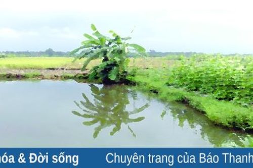 Ký ức về một phần hồn quê dung dị