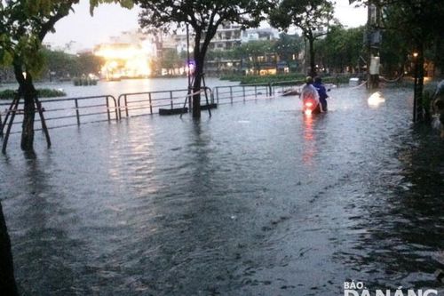 Quận Hải Châu nâng cao năng lực ứng phó thiên tai
