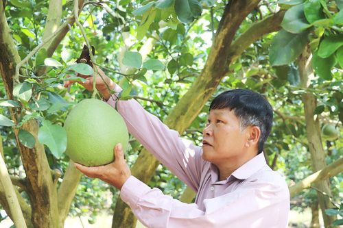 Tự học, vươn lên thoát nghèo
