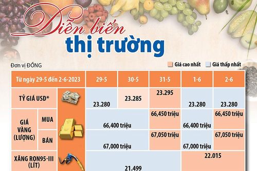 Diễn biến thị trường từ ngày 29-5 đến 2-6-2023