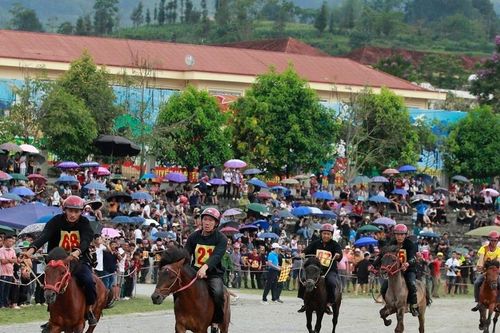 Festival Cao nguyên trắng Bắc Hà: Vó ngựa đã rộn vang