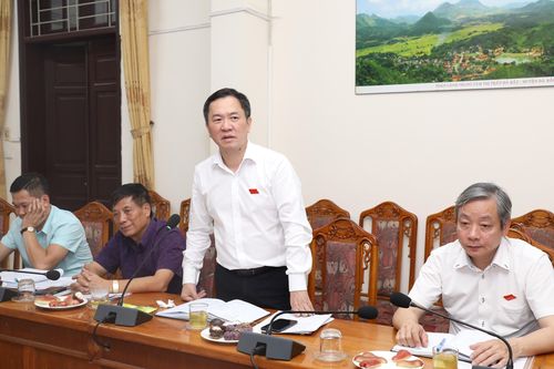 Rõ trách nhiệm chậm áp dụng công nghệ xử lý rác thải