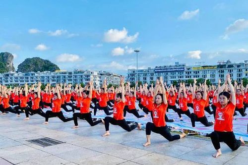 Ngày Quốc tế Yoga lần thứ 9 tại Việt Nam