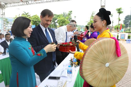 Các đại sứ, tổ chức quốc tế tại Việt Nam 'Trồng cây hữu nghị' tại quận Tây Hồ