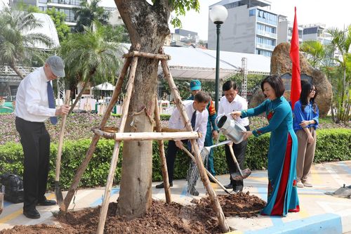 Các đại sứ, đại diện tổ chức quốc tế trồng 'Hàng cây hữu nghị' tại Hà Nội