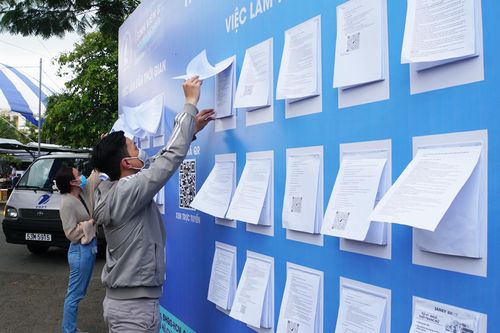 Sinh viên tìm việc trong dịp hè