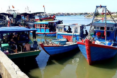 Xử lý nghiêm các tàu cá hành nghề trái phép trên biển