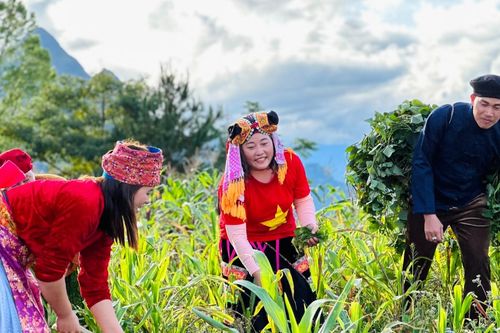Cảnh sắc Hà Giang tuyệt đẹp trong MV mới của Quách Beem