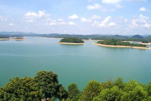 Vườn Quốc gia Bến En bảo tồn, phát triển các loài thú gặm nhấm quý