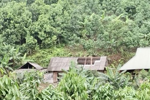 Tìm thấy thi thể người mất tích, gần 500 ngôi nhà bị thiệt hại do dông lốc
