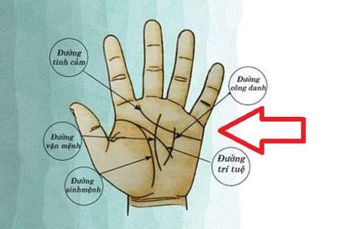 Thần Tài đánh dấu: Lòng bàn tay có 4 điểm này không thành tỷ phú cũng đếm tiền mỏi tay, rất đáng chúc mừng