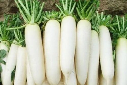 Đi chợ thấy 3 loại rau 'bổ hơn thịt, rẻ hơn thuốc' mà quý như nhân sâm ngàn năm, nhớ mua ngay lập tức