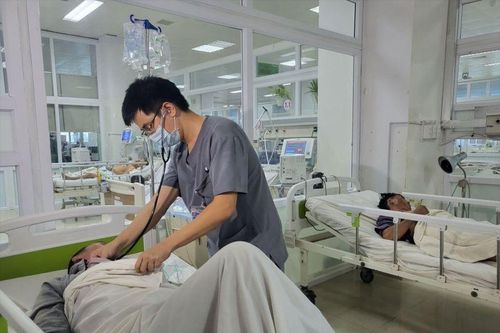 6 người nhập viện cấp cứu do ăn nấm mọc từ xác nhộng ve sầu