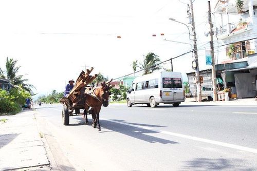 Một ngày của Nâu
