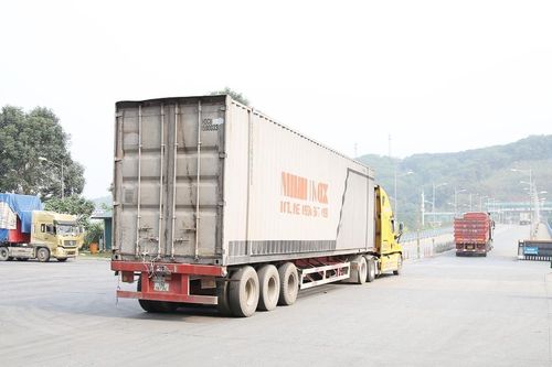 Có 423 doanh nghiệp làm thủ tục tại Cục Hải quan Lào Cai