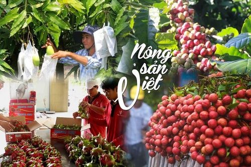 Bộ Công Thương: Đồng bộ giải pháp đẩy mạnh xuất khẩu nông sản chủ lực