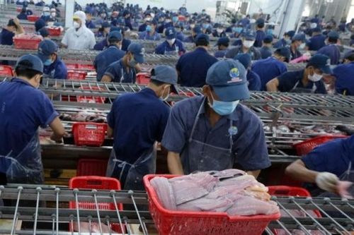 Kinh tế tuần hoàn - 'Tấm hộ chiếu xanh' giúp doanh nghiệp mở rộng thị phần xuất khẩu
