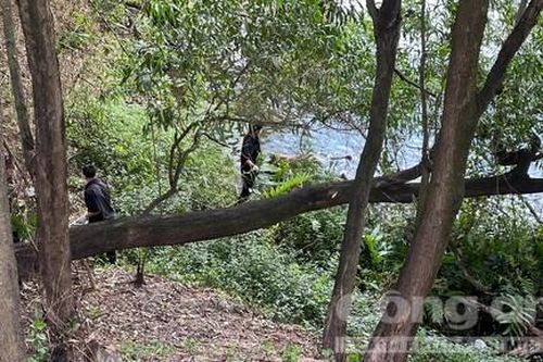 Phát hiện người đàn ông chết dưới hồ nước sâu trong nghĩa trang ở Biên Hòa