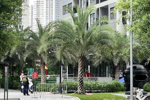 Người đàn ông 74 tuổi nghi rơi từ tầng 19 chung cư xuống đất tử vong