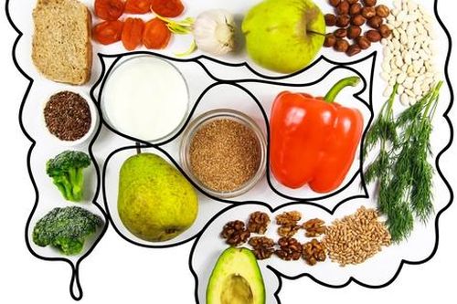 Mối quan hệ giữa sức khỏe đường ruột với hệ thống miễn dịch