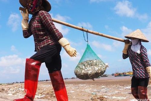 Giữa trưa hè oi ả, chợ cá Giao Hải vẫn tấp nập kẻ bán người mua