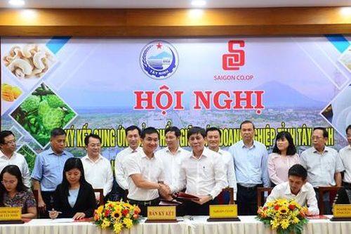 Saigon Co.op ký kết cung ứng sản phẩm của Tây Ninh