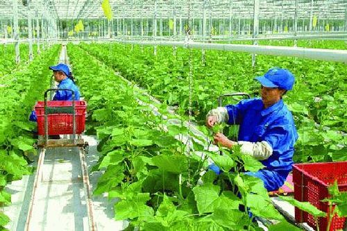 Đề xuất chi hỗ trợ khởi nghiệp ở nông thôn tối đa 150 triệu đồng/mô hình
