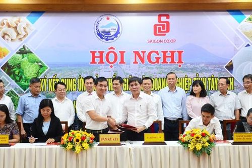 Đưa đặc sản Tây Ninh vào hệ thống bán lẻ Saigon Co.op