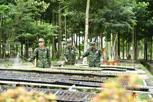 Bảo vệ môi trường bằng những việc làm cụ thể