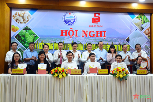 Đưa sản phẩm doanh nghiệp Tây Ninh vào hệ thống bán lẻ Saigon Co.op