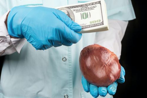 Báo động tình trạng buôn bán nội tạng người ở châu Phi