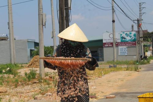 Nghề 'kỳ lạ' ở Thanh Hóa, trời càng nắng dân càng thích