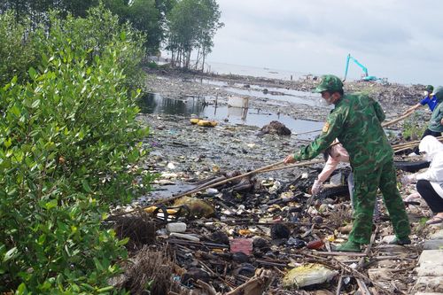 Triển khai Chiến dịch Thanh niên tình nguyện Hè năm 2023 trên địa bàn tỉnh Tiền Giang