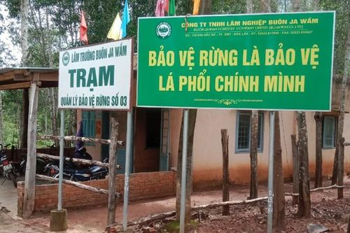 Đắk Lắk: Một nhân viên bảo vệ rừng bị đánh phải nhập viện